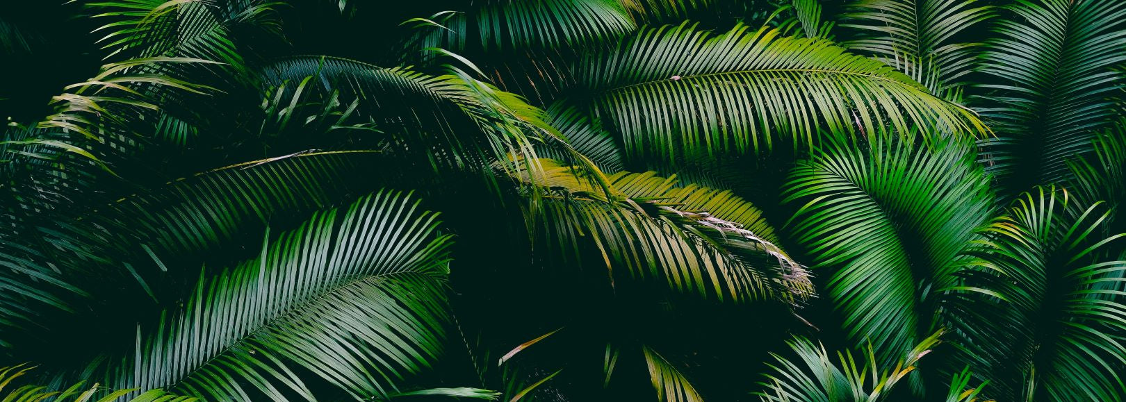 Material Choice vs Longevity: Finding the Balance in Sustainable Fashion