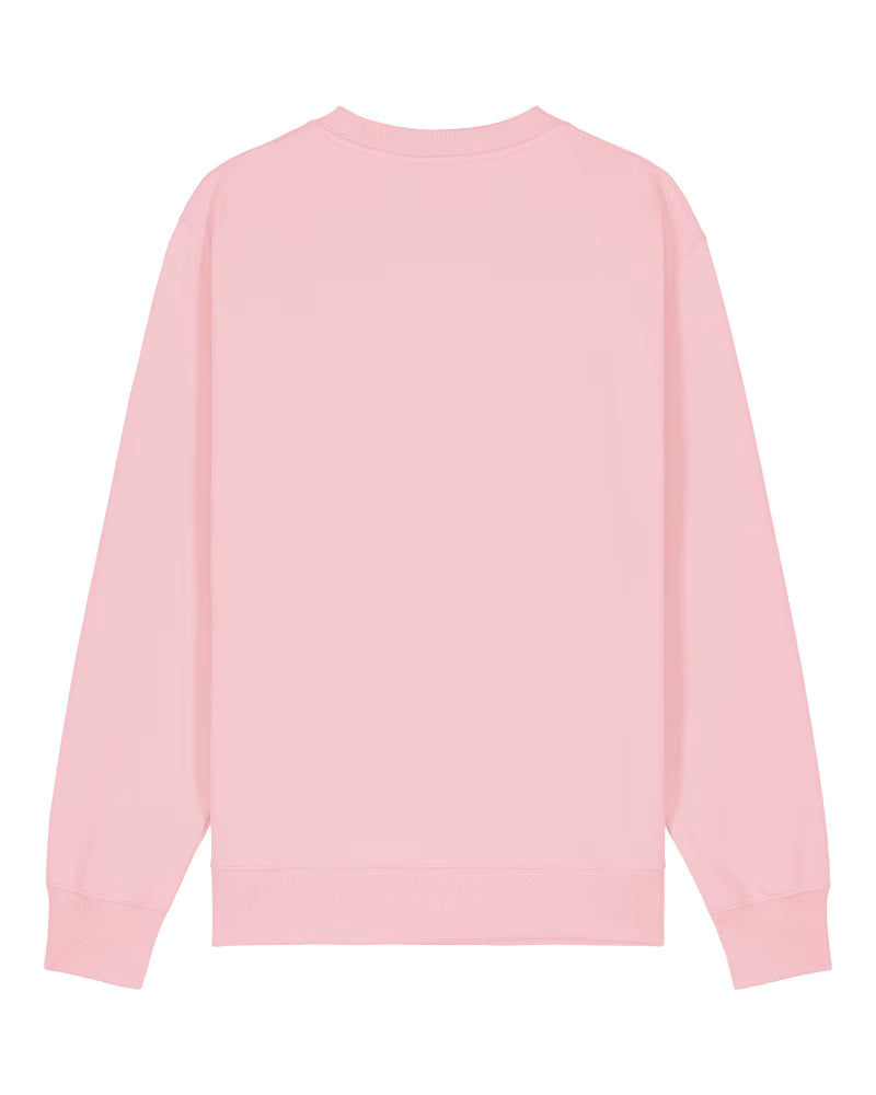 Back view of pink long-sleeve sweatshirt on a white background